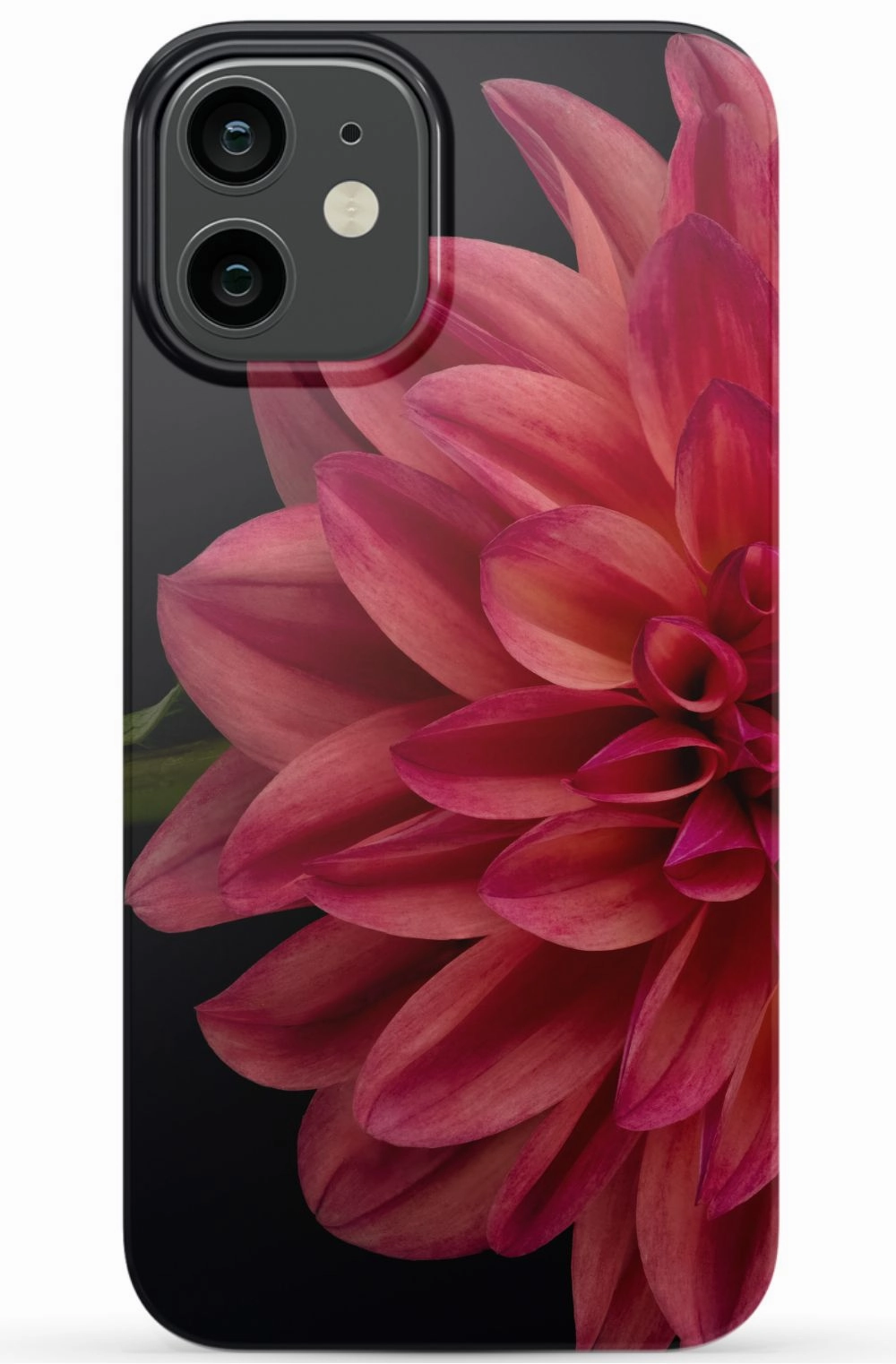 Vibrant Phone Case