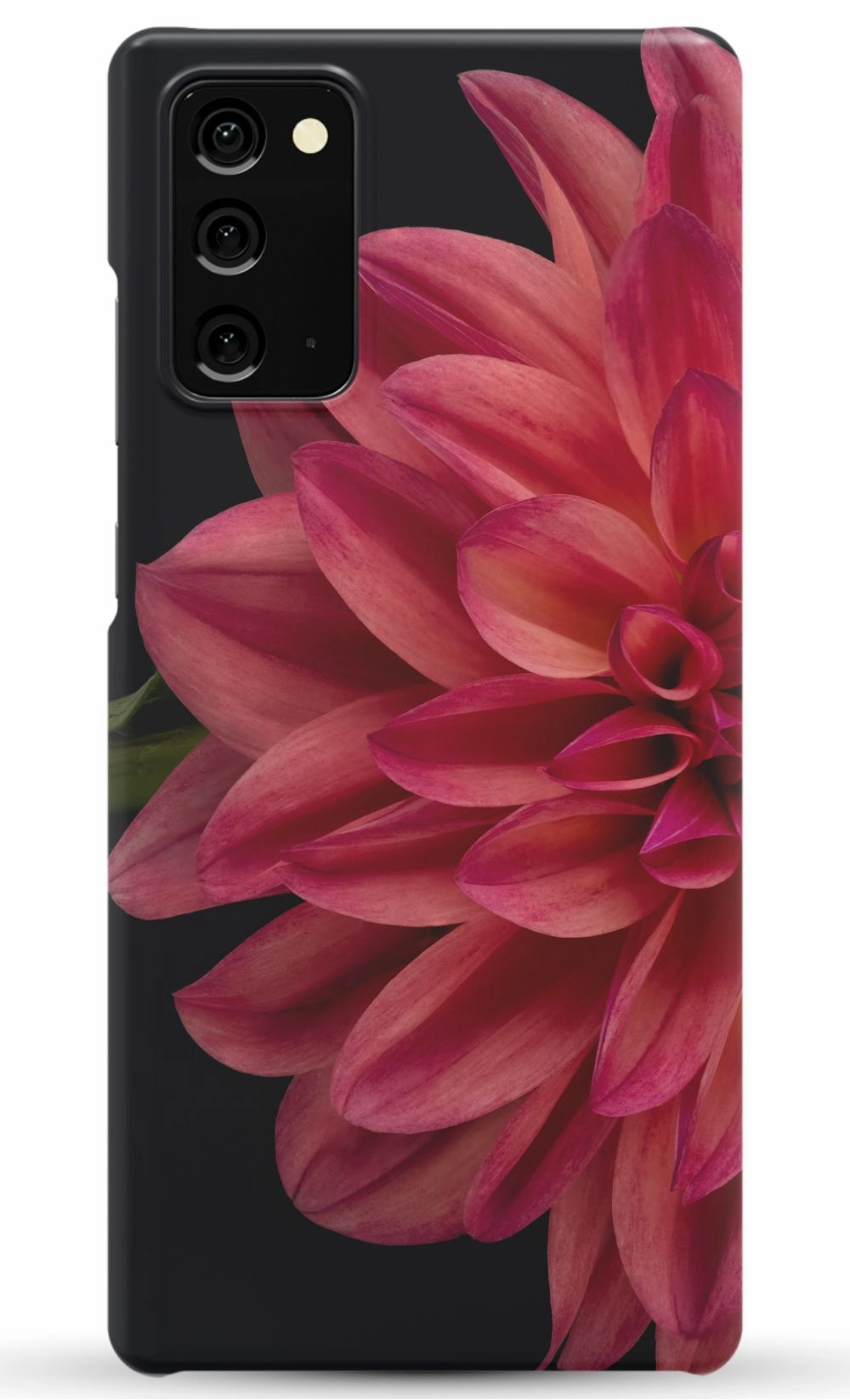 Vibrant Phone Case