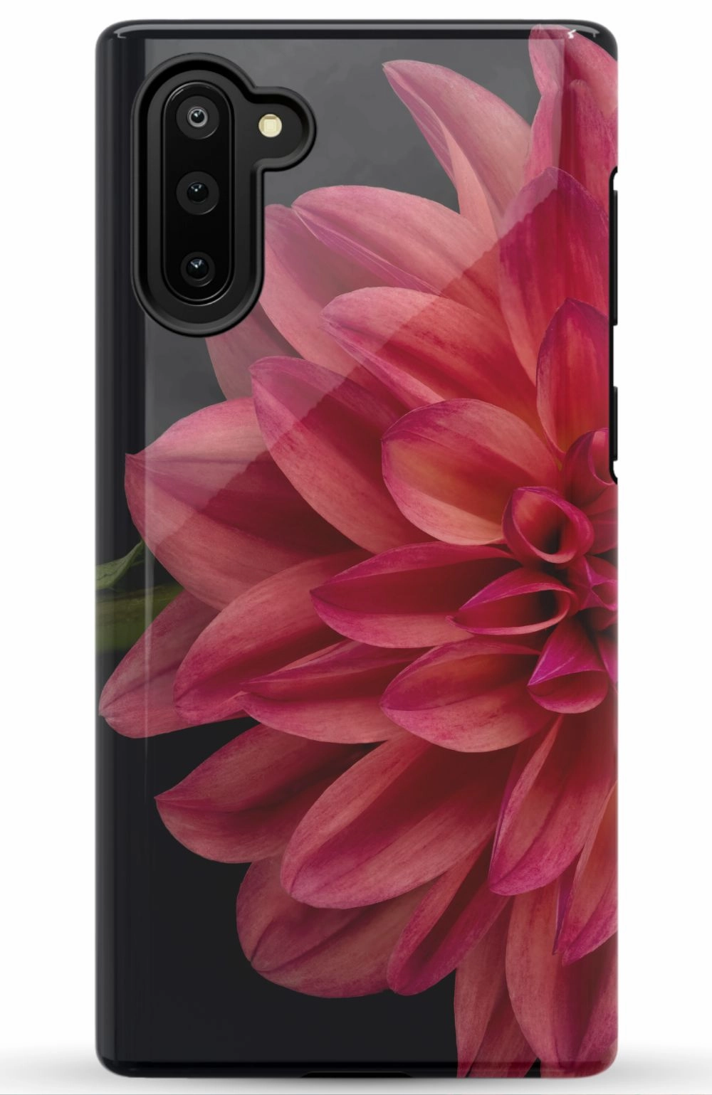 Vibrant Phone Case