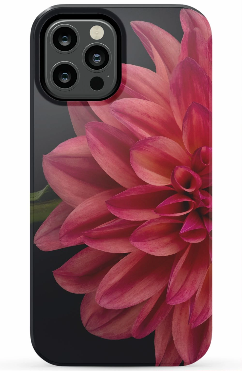 Vibrant Phone Case