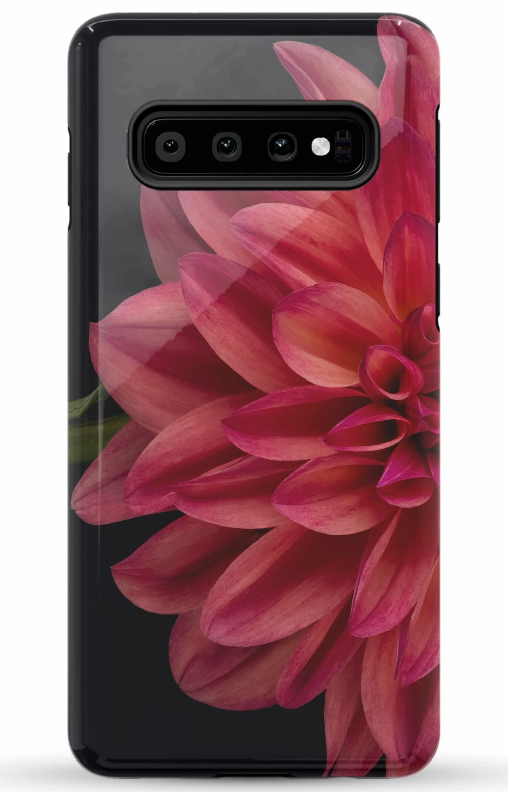 Vibrant Phone Case