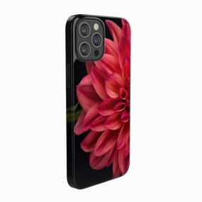 Vibrant Phone Case