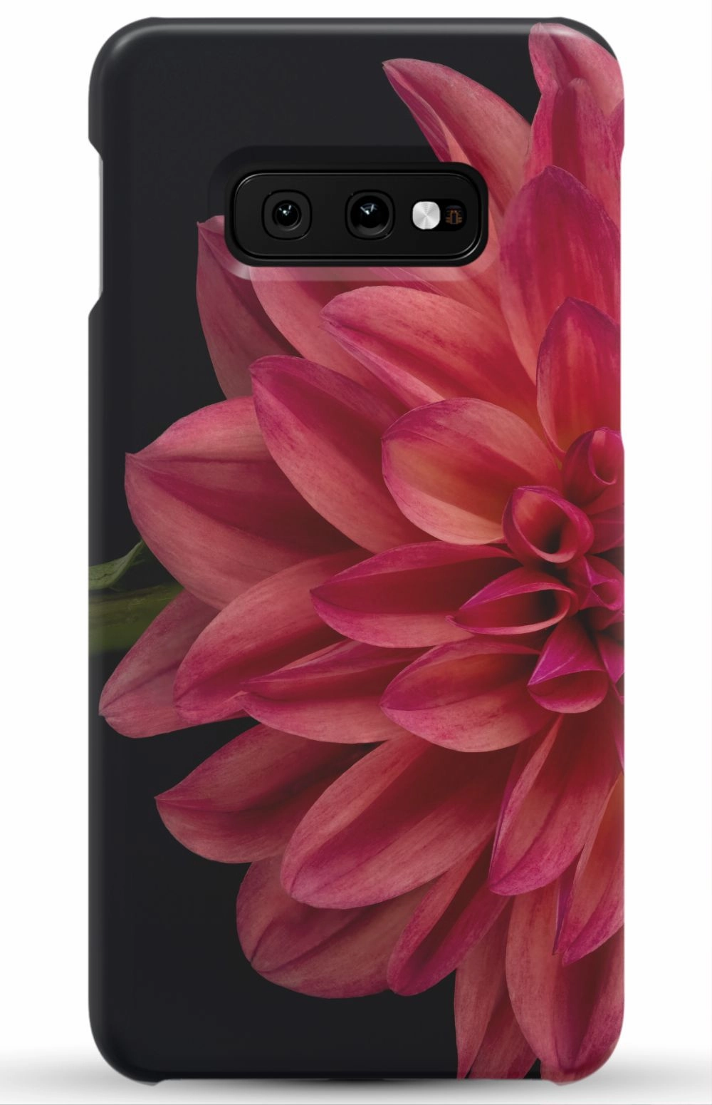 Vibrant Phone Case