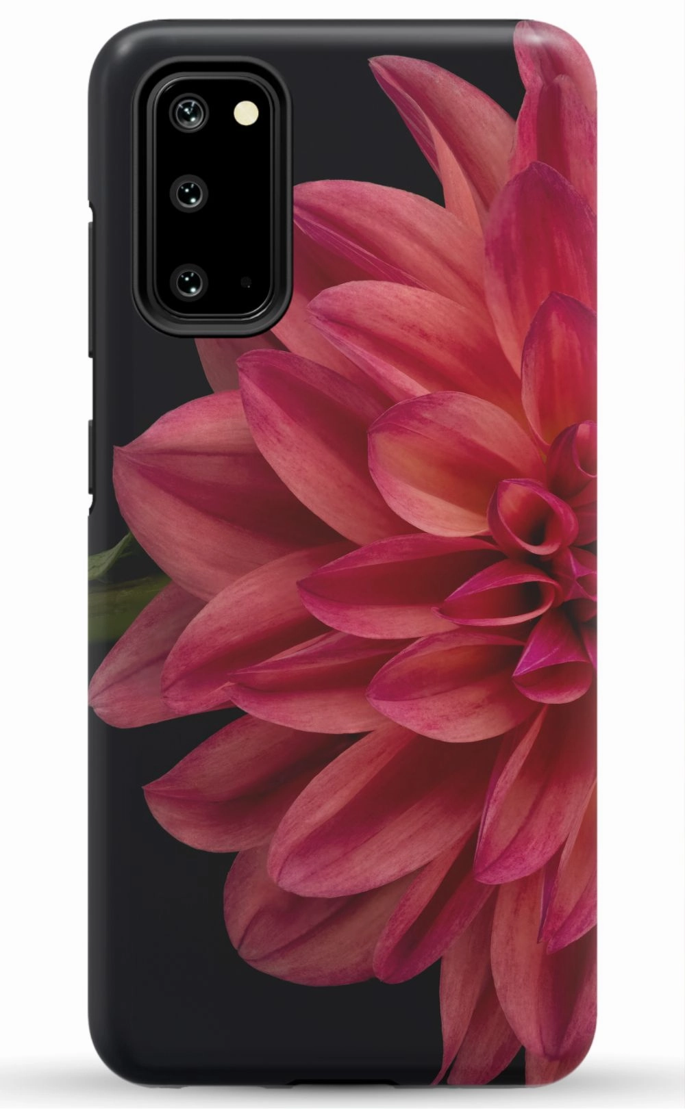 Vibrant Phone Case