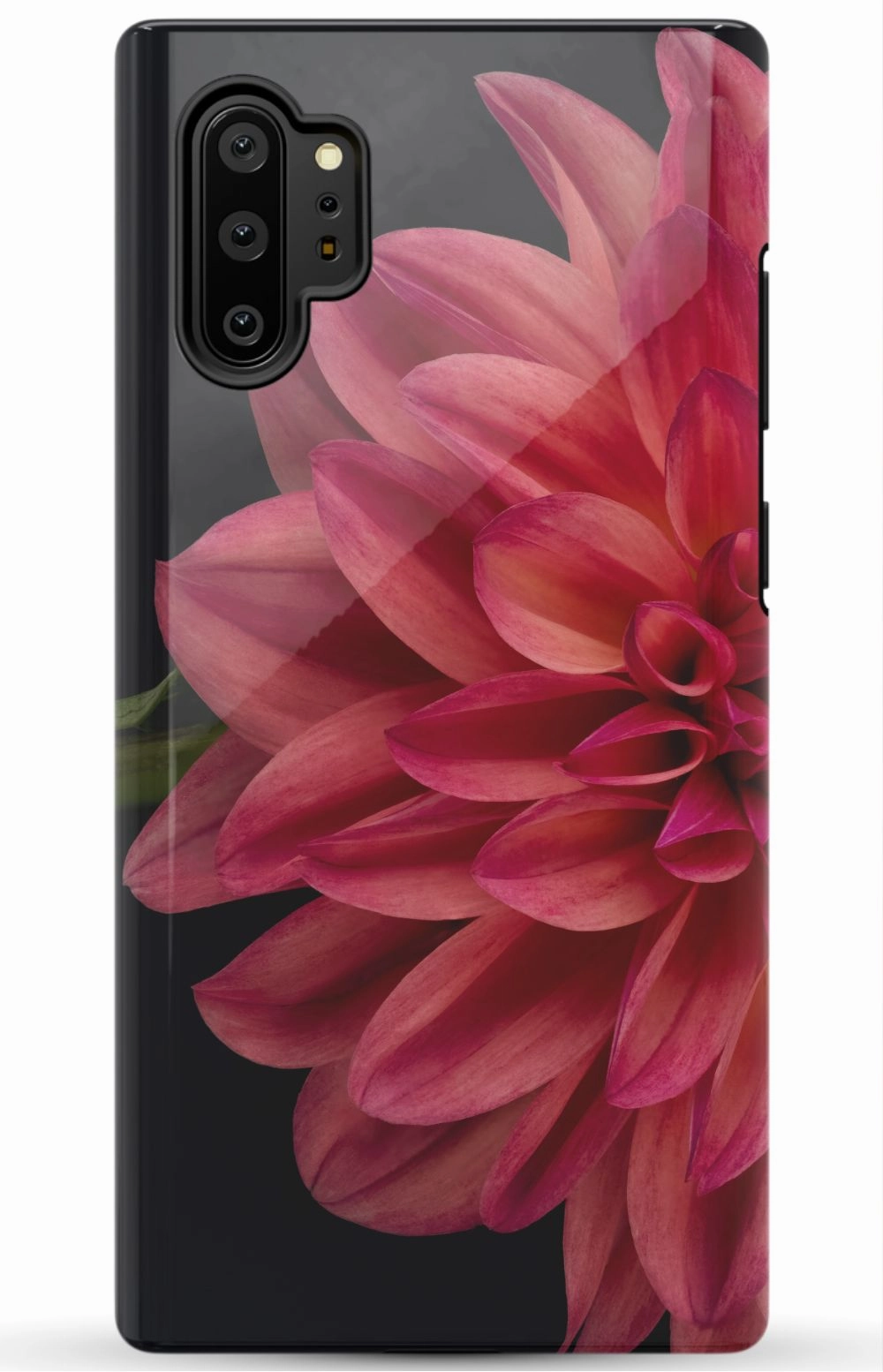 Vibrant Phone Case