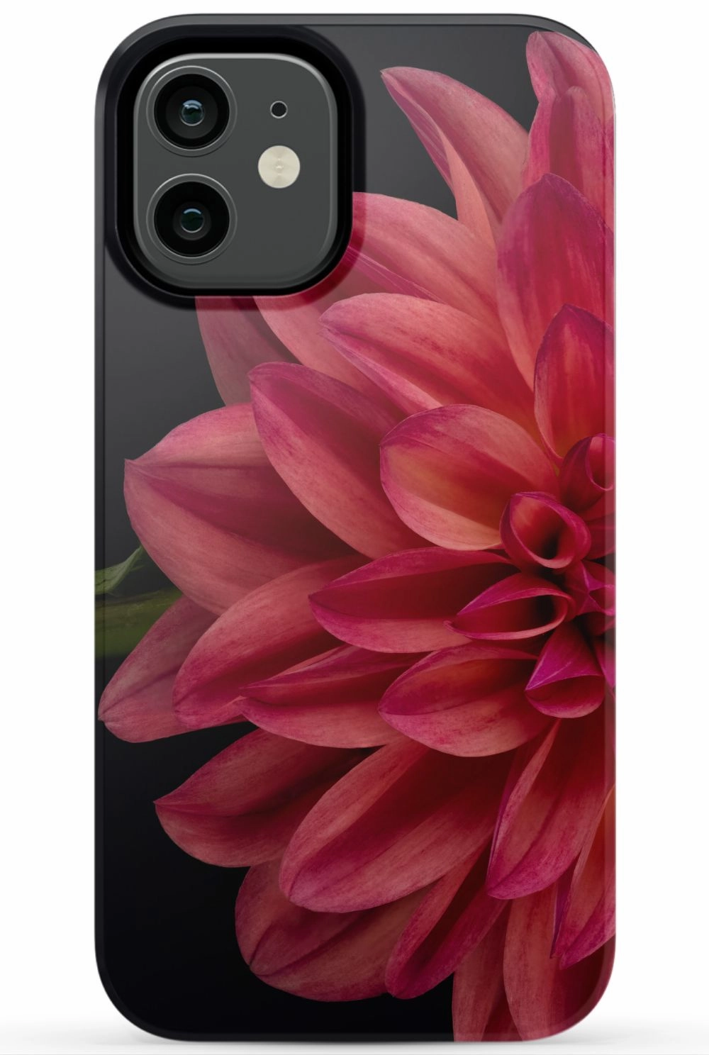 Vibrant Phone Case