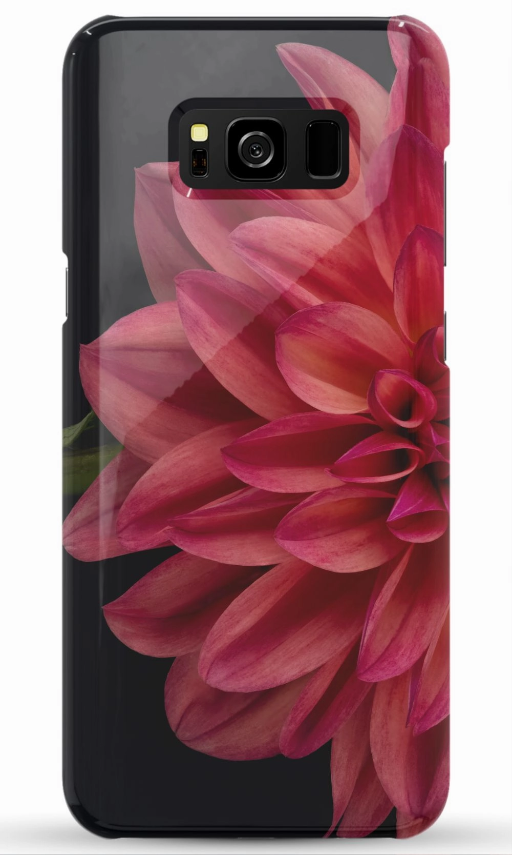 Vibrant Phone Case