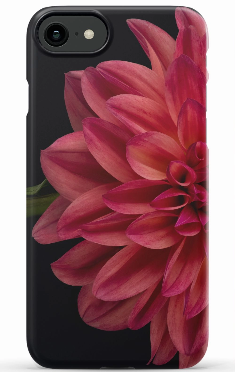Vibrant Phone Case