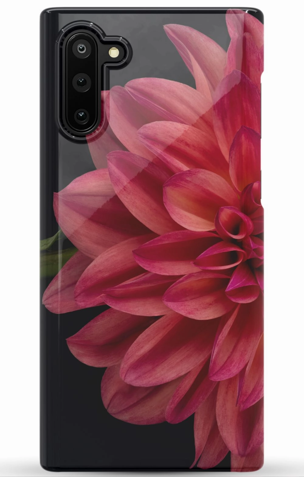 Vibrant Phone Case