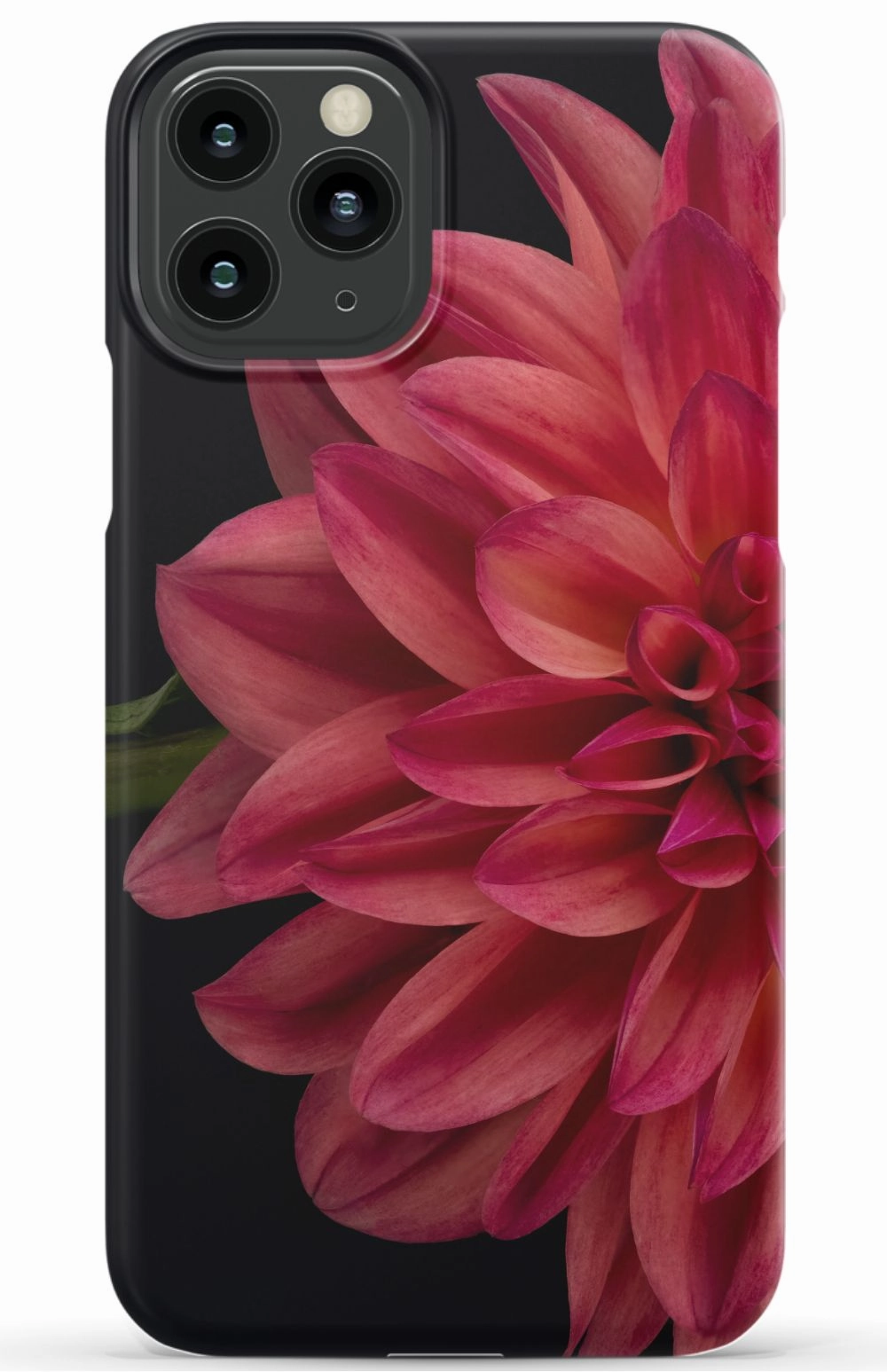 Vibrant Phone Case