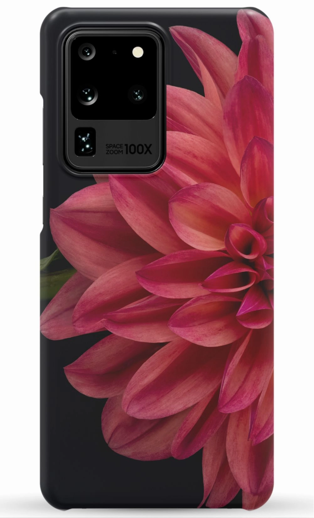Vibrant Phone Case