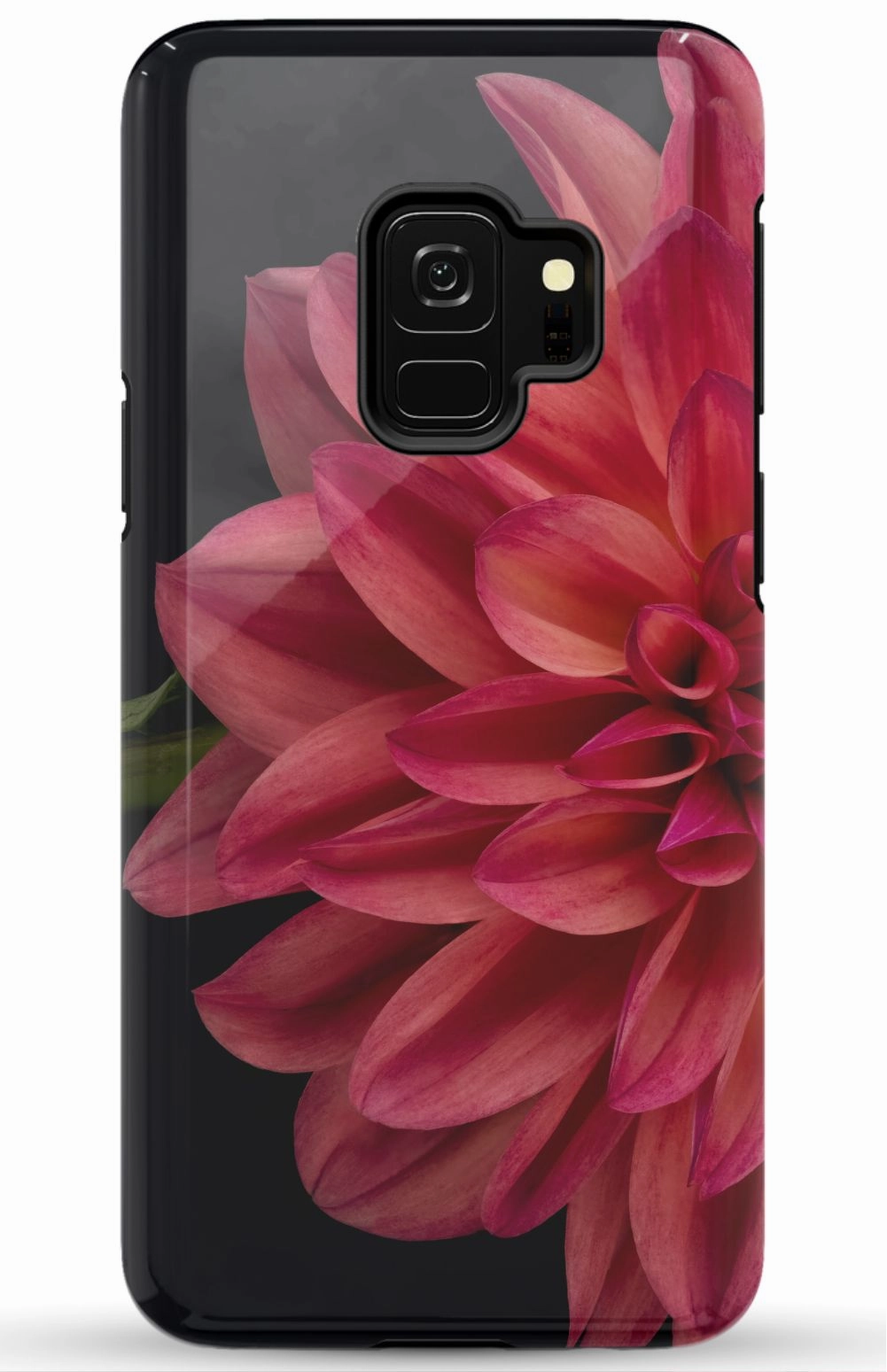 Vibrant Phone Case