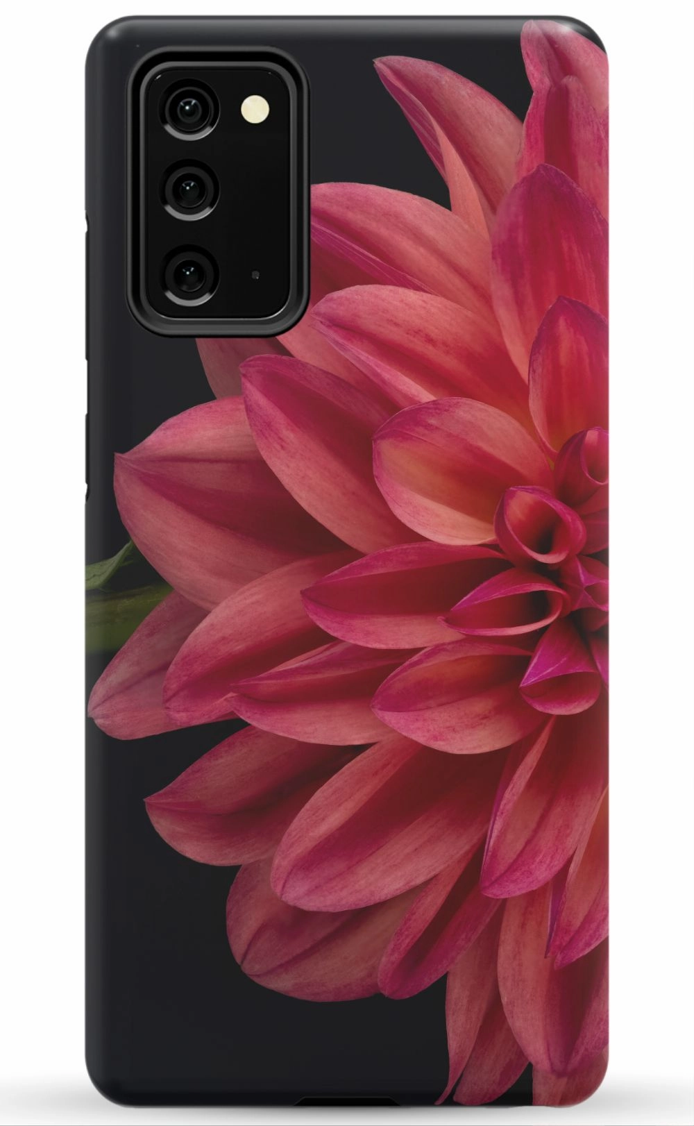 Vibrant Phone Case