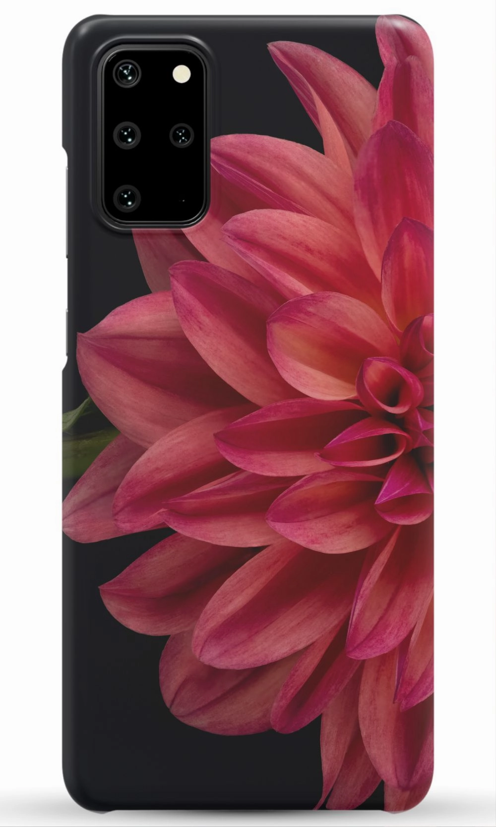 Vibrant Phone Case