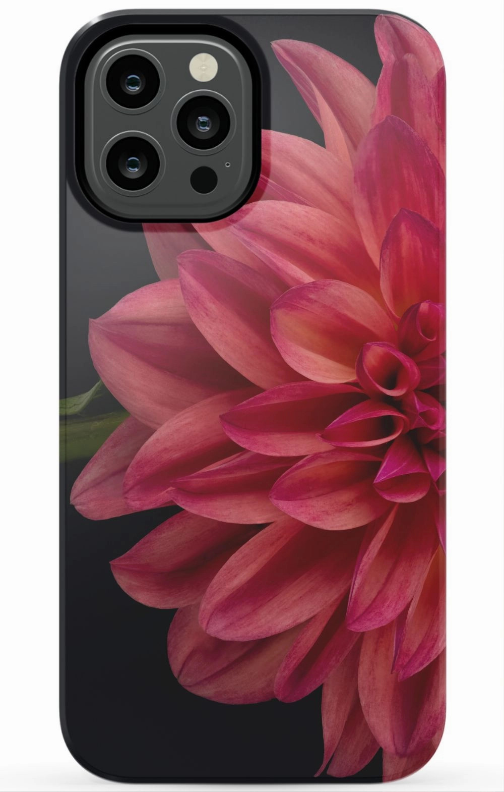 Vibrant Phone Case