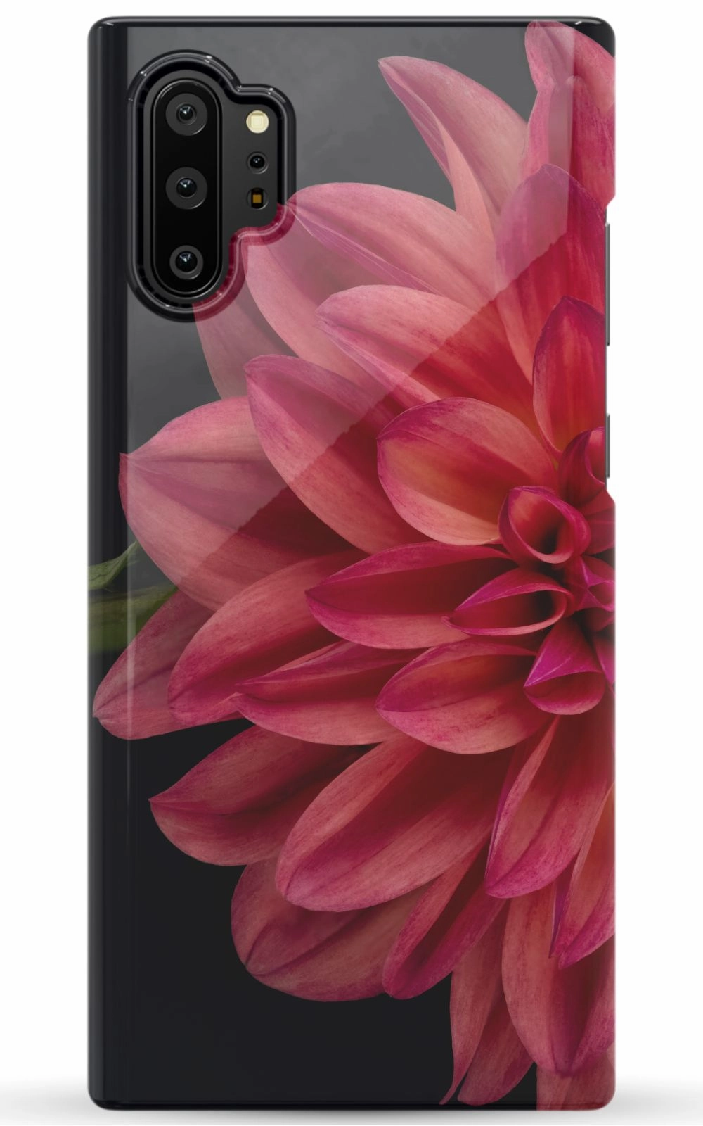Vibrant Phone Case