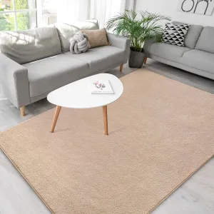 Washable Rugs for Living Room Minimalist Area Rugs 4x6 Soft Throw Rugs for Bedroom Thickened Memory-Foam Rugs for Dorm Nursery Kids Room Kitchen Apartment Floor Carpet, Beige