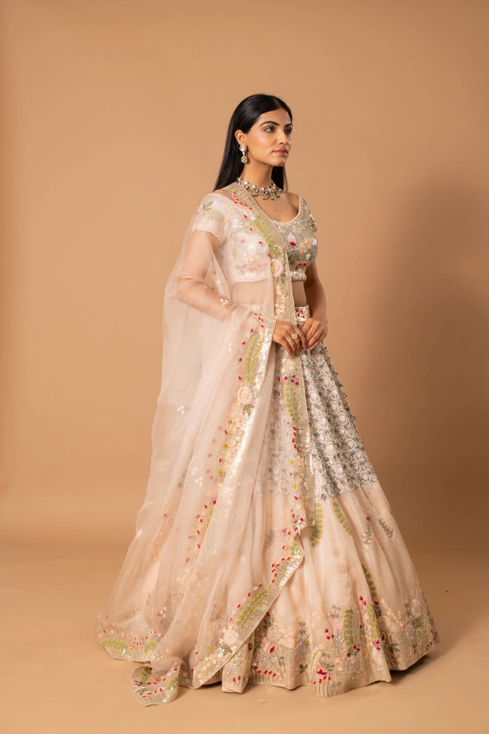 Zephyr Blush Pink Satin Organza Lehenga with Thread, Sequin & French Knot Embroidery